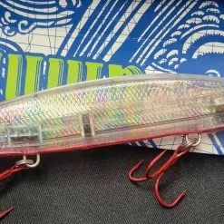 Ψαράκι Yamashita AMNIS 1 -ΓΛΥΚΑ ΝΕΡΑ πωλήσεων 330079954 1250757249208306 5731160352744199684 n