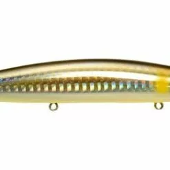 Ψαράκια Rapture MOMOKO