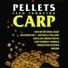 Carp Zoom Μαλάγρα CARP PELLETS -ΓΛΥΚΑ ΝΕΡΑ πωλήσεων carp pellets