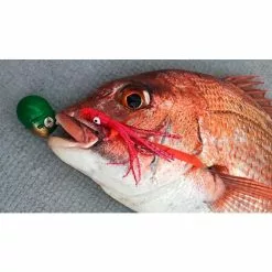 Μολυβοκεφαλή Tai Rubber Yamashita Hadotama -ΓΛΥΚΑ ΝΕΡΑ πωλήσεων hadodama tyokusin ima2 w590h590f