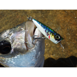 Ψαράκι Savage Gear 3D MINNOW POPPER 19 Ψαράκι Savage Gear 3D MINNOW POPPER -ΓΛΥΚΑ ΝΕΡΑ πωλήσεων sgk074 1