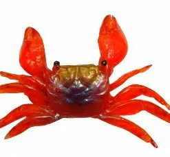 Ανταλλακτικά Καβούρια TOP ONE -ΓΛΥΚΑ ΝΕΡΑ πωλήσεων top31001 300